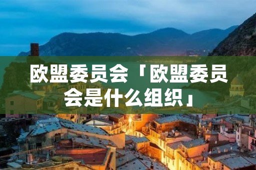 欧盟委员会「欧盟委员会是什么组织」
