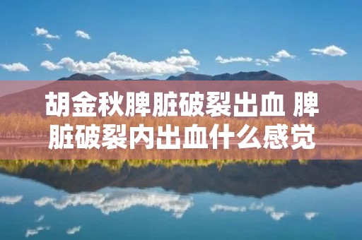 胡金秋脾脏破裂出血 脾脏破裂内出血什么感觉