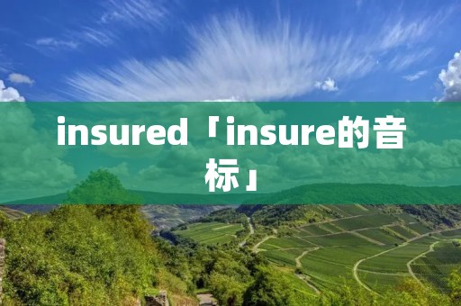 insured「insure的音标」 insured「insure的音标」