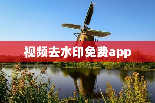 视频去水印免费app：简单、高效，让你轻松去除视频水印