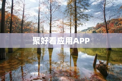 聚好看应用APP：打造专属你的个性化视频推荐平台