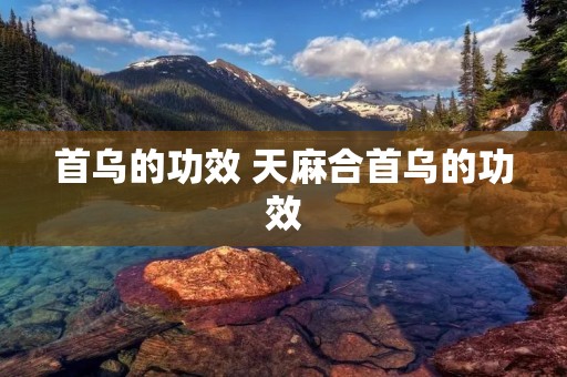 首乌的功效 天麻合首乌的功效