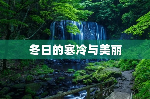冬日的寒冷与美丽:描写冬天的诗句