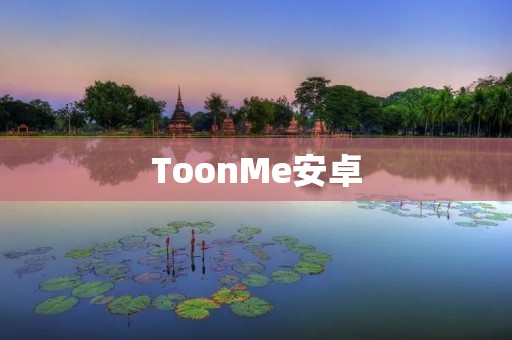 ToonMe安卓:让你的照片变身为卡通形象 ToonMe安卓:让你的照片变身为卡通形象