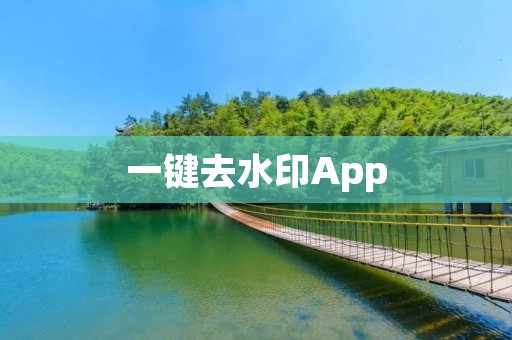 一键去水印App:轻松去除照片和视频中的水印 一键去水印App:轻松去除照片和视频中的水印