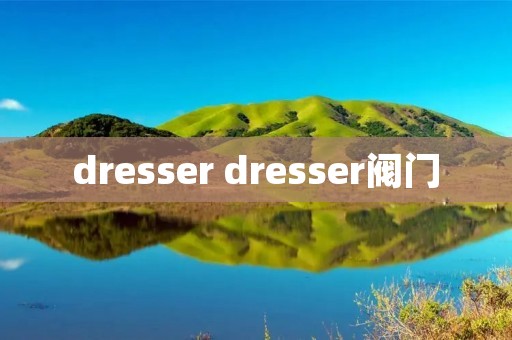 dresser dresser阀门