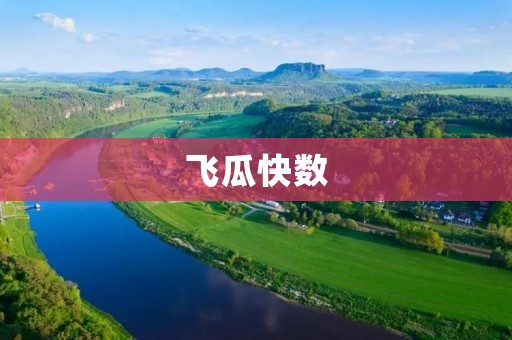 飞瓜快数：快速高效的数据处理工具