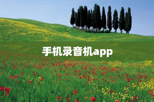 手机录音机app:方便高质量的音频录制工具 手机录音机app:方便高质量的音频录制工具