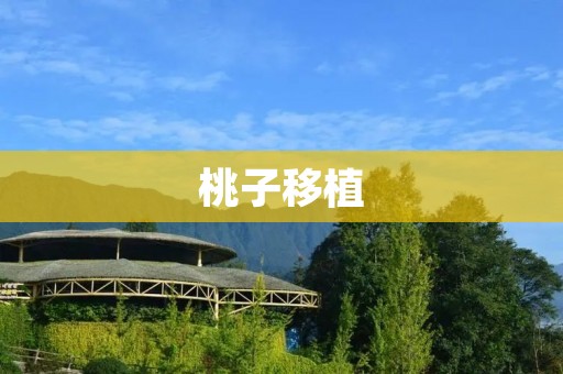 桃子移植：注意事项与技巧