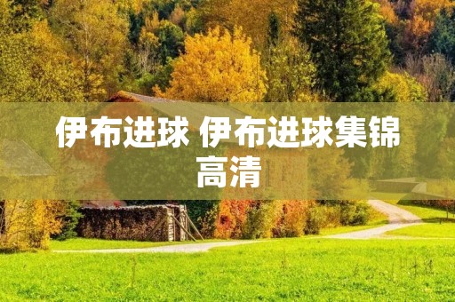 伊布进球 伊布进球集锦高清