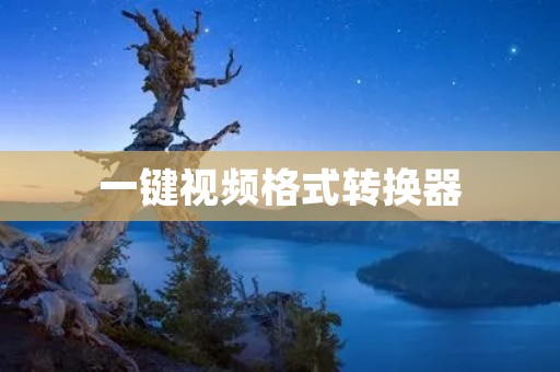 一键视频格式转换器：快速、便捷的多媒体转换利器