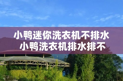 小鸭迷你洗衣机不排水 小鸭洗衣机排水排不出去怎么办 小鸭迷你洗衣机不排水 小鸭洗衣机排水排不出去怎么办