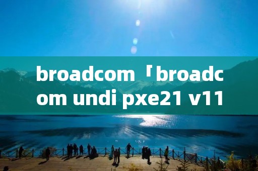 broadcom「broadcom undi pxe21 v11011」