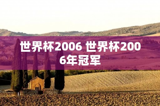 世界杯2006 世界杯2006年冠军 世界杯2006 世界杯2006年冠军