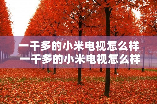 一千多的小米电视怎么样 一千多的小米电视怎么样啊 一千多的小米电视怎么样 一千多的小米电视怎么样啊