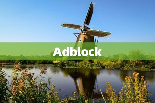 Adblock:保护您的浏览器免受烦人的广告干扰 Adblock:保护您的浏览器免受烦人的广告干扰
