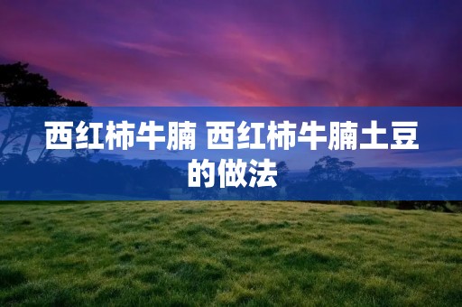 西红柿牛腩 西红柿牛腩土豆的做法