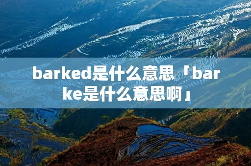 barked是什么意思「barke是什么意思啊」