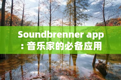 Soundbrenner app: 音乐家的必备应用