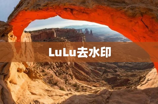 LuLu去水印:轻松去除照片和视频上的水印 LuLu去水印:轻松去除照片和视频上的水印