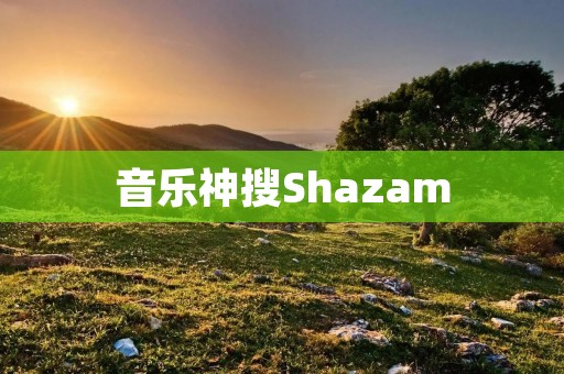音乐神搜Shazam：解锁音乐世界的神奇工具