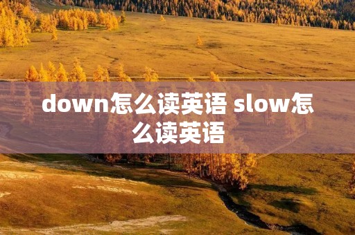 down怎么读英语 slow怎么读英语 down怎么读英语 slow怎么读英语
