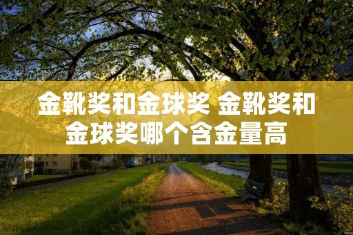 金靴奖和金球奖 金靴奖和金球奖哪个含金量高