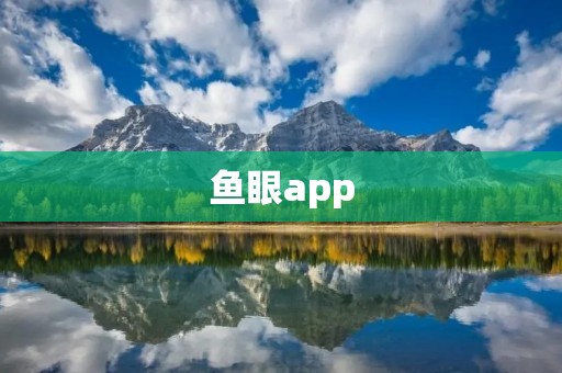 鱼眼app：拍摄全景照片的最佳选择