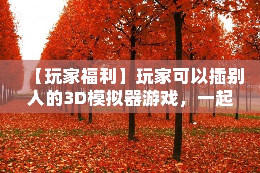【玩家福利】玩家可以插别人的3D模拟器游戏，一起畅玩游戏乐趣！