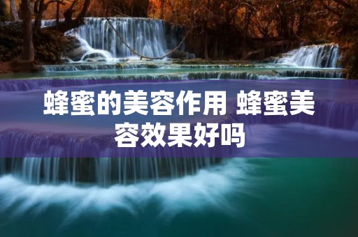 蜂蜜的美容作用 蜂蜜美容效果好吗