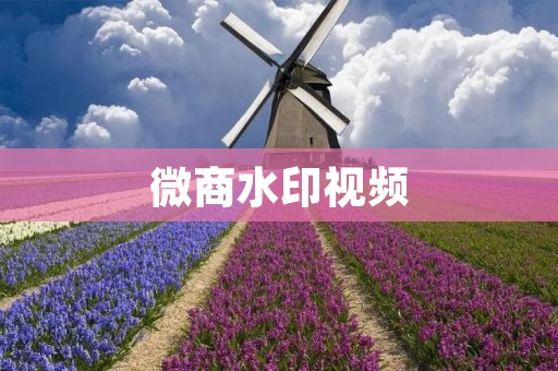 微商水印视频：打造个性化品牌推广利器