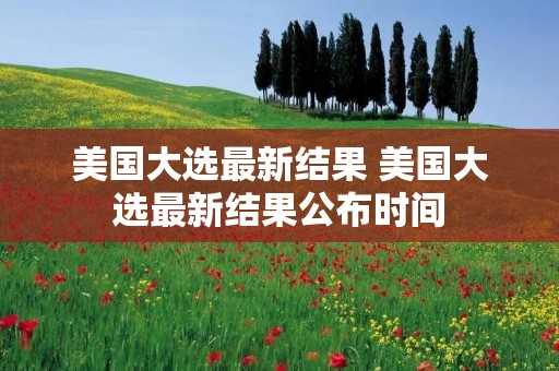 美国大选最新结果 美国大选最新结果公布时间