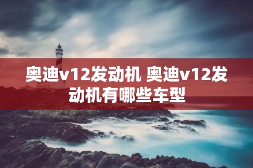 奥迪v12发动机 奥迪v12发动机有哪些车型 奥迪v12发动机 奥迪v12发动机有哪些车型