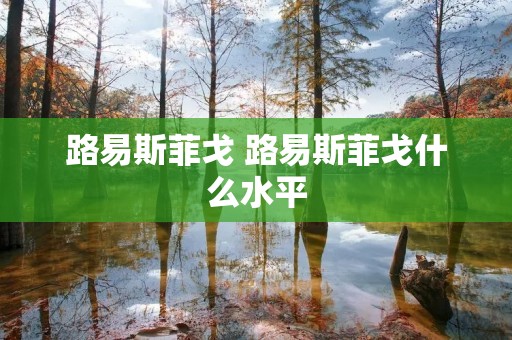 路易斯菲戈 路易斯菲戈什么水平