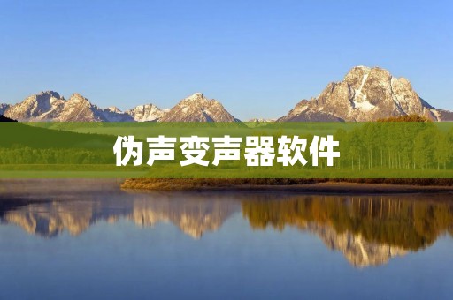 伪声变声器软件：让你的声音变得有趣！