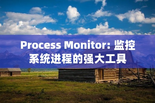 Process Monitor: 监控系统进程的强大工具