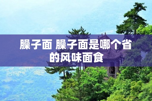 臊子面 臊子面是哪个省的风味面食