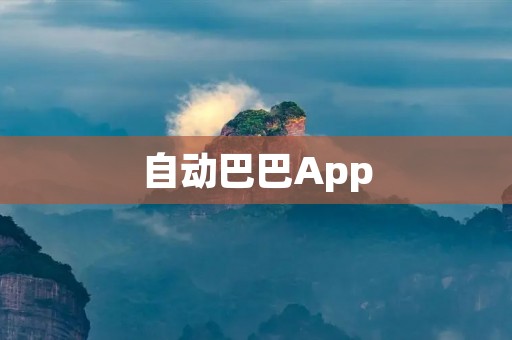 自动巴巴App：轻松实现一键代驾服务