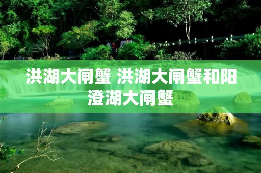 洪湖大闸蟹 洪湖大闸蟹和阳澄湖大闸蟹