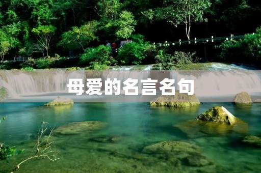 母爱的名言名句：感受母亲无私的爱与奉献