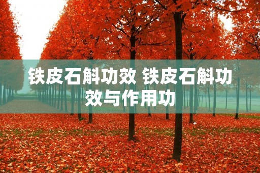 铁皮石斛功效 铁皮石斛功效与作用功