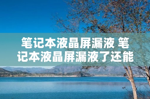 笔记本液晶屏漏液 笔记本液晶屏漏液了还能使用吗
