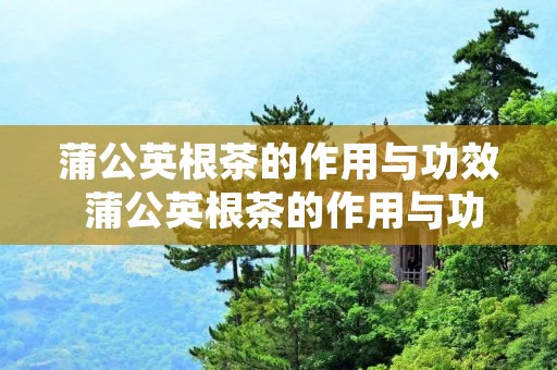 蒲公英根茶的作用与功效 蒲公英根茶的作用与功效对肝脏