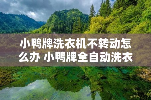 小鸭牌洗衣机不转动怎么办 小鸭牌全自动洗衣机不脱水是什么原因