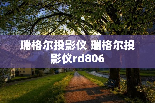 瑞格尔投影仪 瑞格尔投影仪rd806