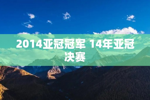2014亚冠冠军 14年亚冠决赛
