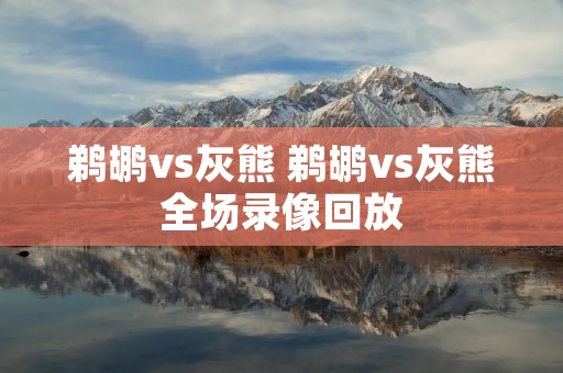 鹈鹕vs灰熊 鹈鹕vs灰熊全场录像回放 鹈鹕vs灰熊 鹈鹕vs灰熊全场录像回放