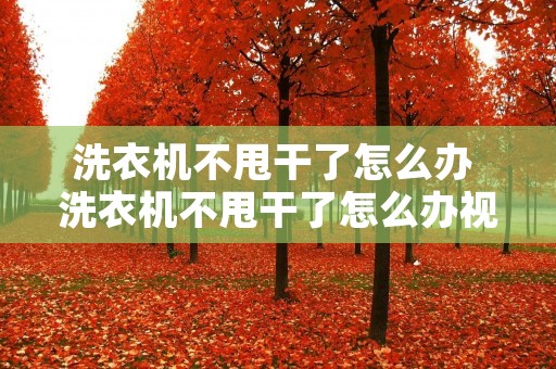 洗衣机不甩干了怎么办 洗衣机不甩干了怎么办视频