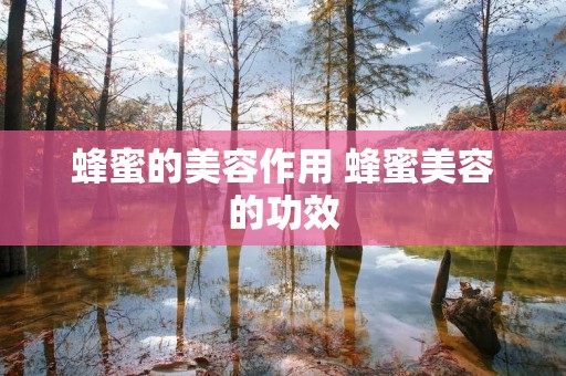 蜂蜜的美容作用 蜂蜜美容的功效