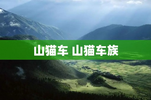 山猫车 山猫车族 山猫车 山猫车族